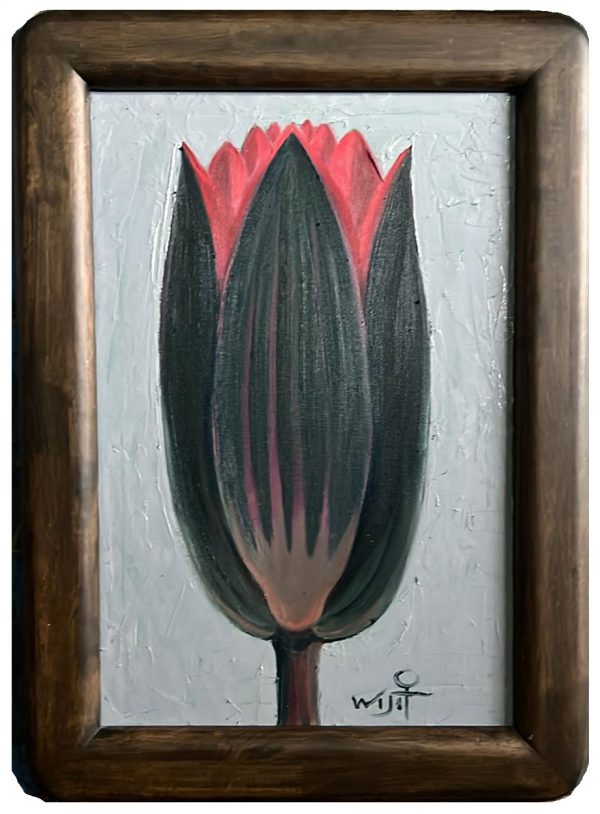 Late Lotus (บัวสาย)