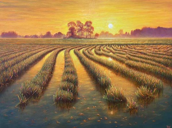 เช้าอันเงียบสงบของฤดูเก็บเกี่ยว / Harvest’s Quiet Morning (2025)