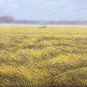 ทุ่งนาหลังพายุ  (Fields After the Storm)