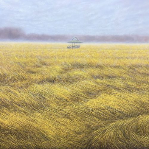 ทุ่งนาหลังพายุ  (Fields After the Storm)