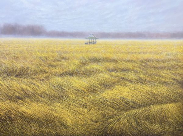 ทุ่งนาหลังพายุ  (Fields After the Storm)