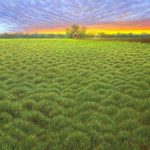 ทุ่งหญ้าแห่งมนตรา  (Enchanted Grassland)