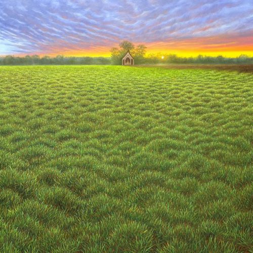 ทุ่งหญ้าแห่งมนตรา  (Enchanted Grassland)