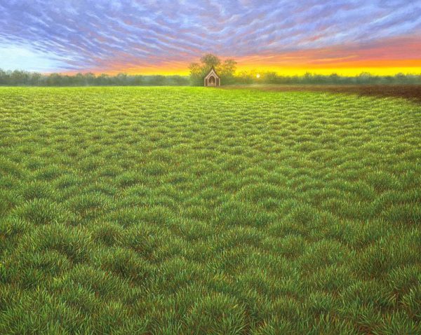 ทุ่งหญ้าแห่งมนตรา  (Enchanted Grassland)