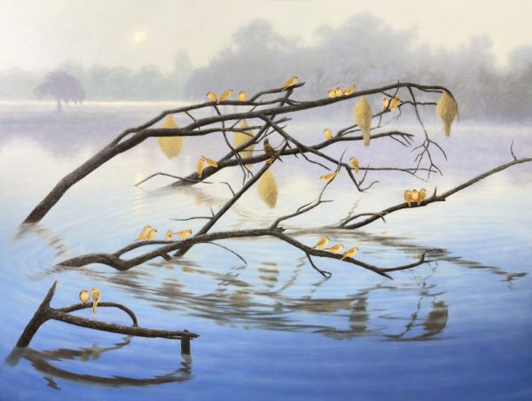 บึงแห่งชีวิต (The Living Marsh)